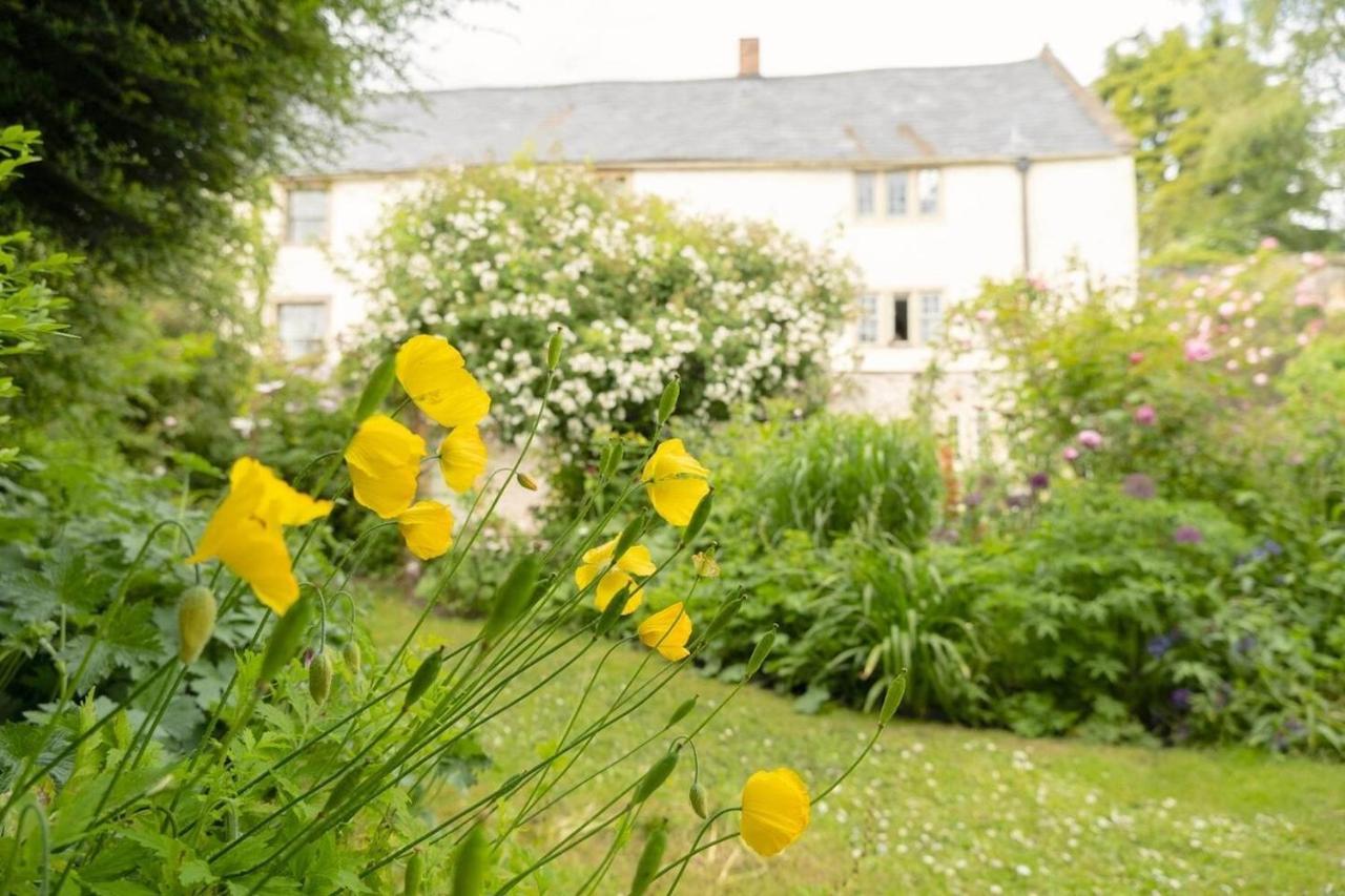 Lovely In The Heart Of Somerset, Sleeps 9